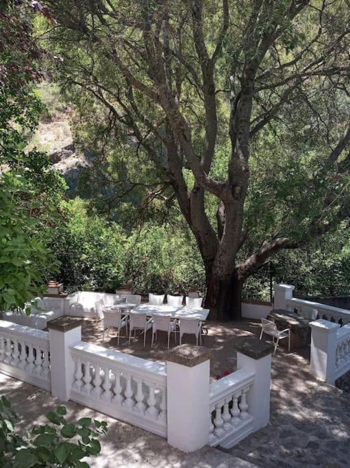 Casa Fuente De Rechita Villa La Iruela Dış mekan fotoğraf